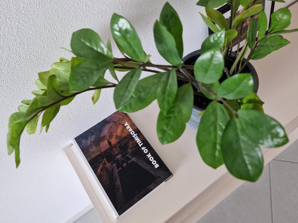 Central Skystudio Lägenhet Timişoara Exteriör bild